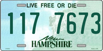 NH license plate 1177673