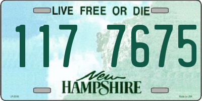 NH license plate 1177675