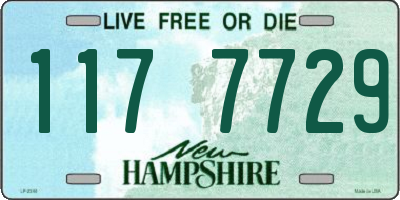 NH license plate 1177729