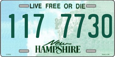 NH license plate 1177730