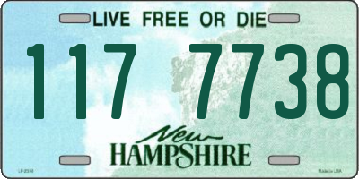 NH license plate 1177738