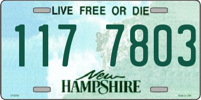 NH license plate 1177803
