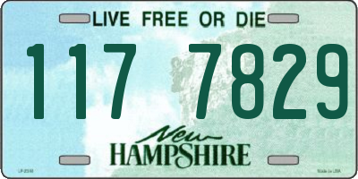 NH license plate 1177829