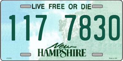NH license plate 1177830