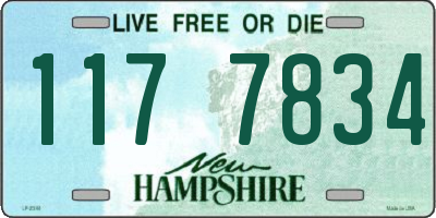 NH license plate 1177834