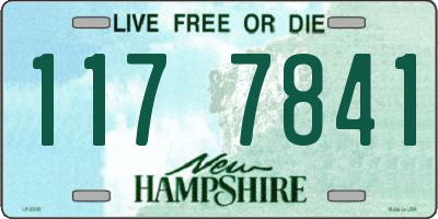 NH license plate 1177841