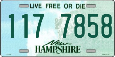NH license plate 1177858
