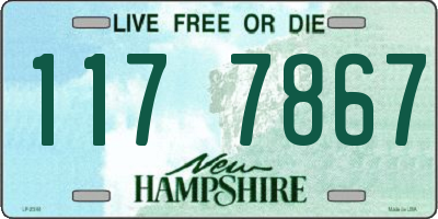 NH license plate 1177867