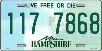 NH license plate 1177868