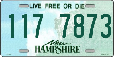 NH license plate 1177873