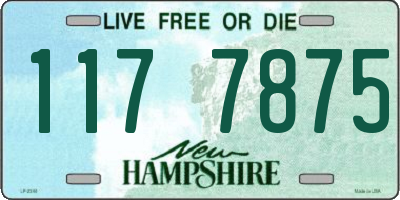 NH license plate 1177875