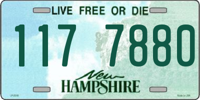 NH license plate 1177880