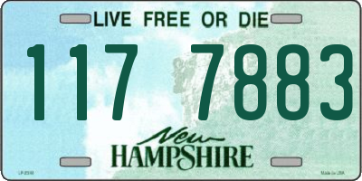 NH license plate 1177883