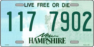 NH license plate 1177902