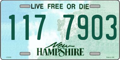NH license plate 1177903