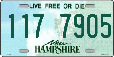 NH license plate 1177905