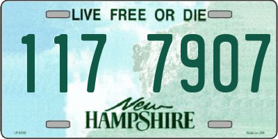 NH license plate 1177907