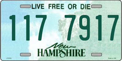NH license plate 1177917