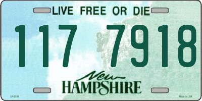 NH license plate 1177918