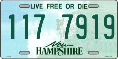 NH license plate 1177919