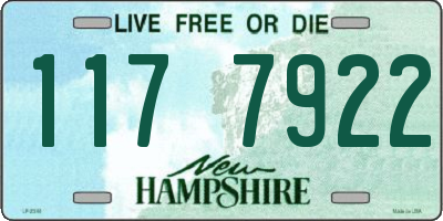 NH license plate 1177922