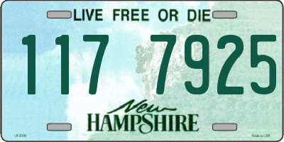 NH license plate 1177925