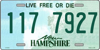 NH license plate 1177927