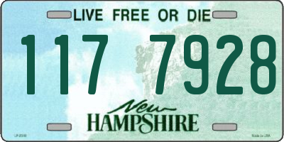 NH license plate 1177928