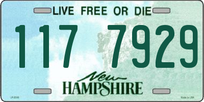 NH license plate 1177929