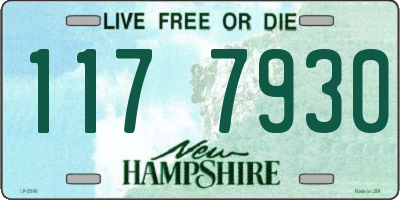 NH license plate 1177930