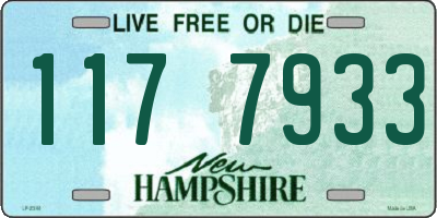 NH license plate 1177933