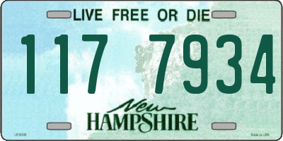 NH license plate 1177934