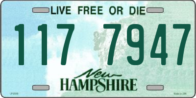 NH license plate 1177947
