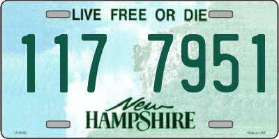 NH license plate 1177951