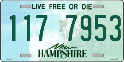 NH license plate 1177953
