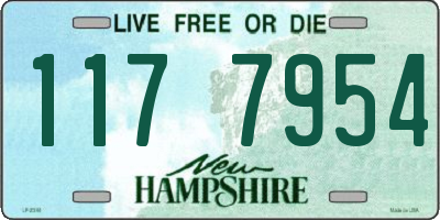 NH license plate 1177954