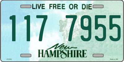 NH license plate 1177955