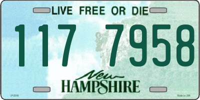 NH license plate 1177958