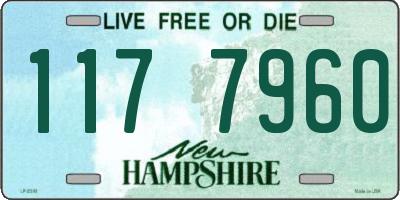 NH license plate 1177960