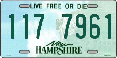 NH license plate 1177961