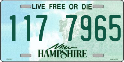 NH license plate 1177965