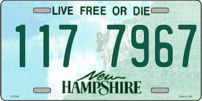 NH license plate 1177967