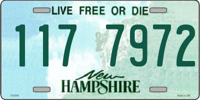 NH license plate 1177972