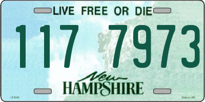 NH license plate 1177973