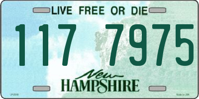 NH license plate 1177975