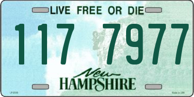 NH license plate 1177977