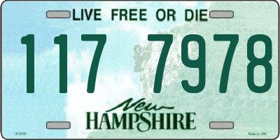 NH license plate 1177978
