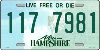NH license plate 1177981