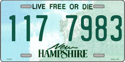 NH license plate 1177983