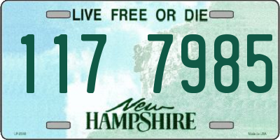 NH license plate 1177985